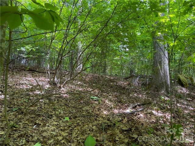 L-36 Saint Moritz Lane Lot 36, Spruce Pine, NC 28749