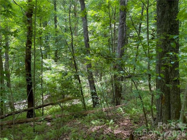 L-36 Saint Moritz Lane Lot 36, Spruce Pine, NC 28749