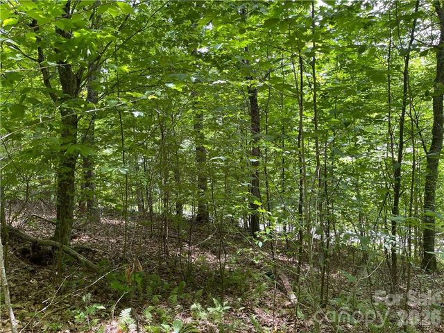 L-36 Saint Moritz Lane Lot 36, Spruce Pine, NC 28749