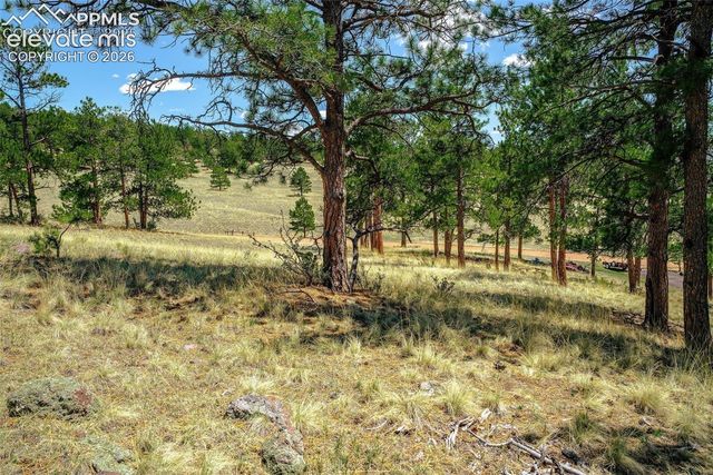 56 Dallas Park Circle, Florissant, CO 80816