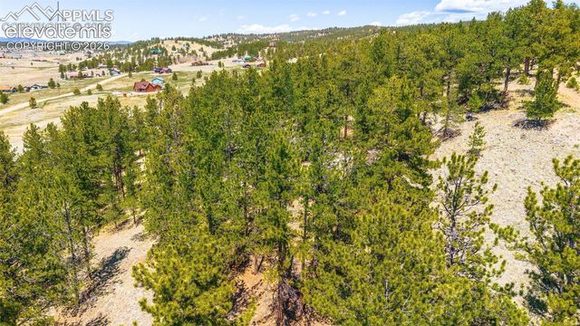 56 Dallas Park Circle, Florissant, CO 80816