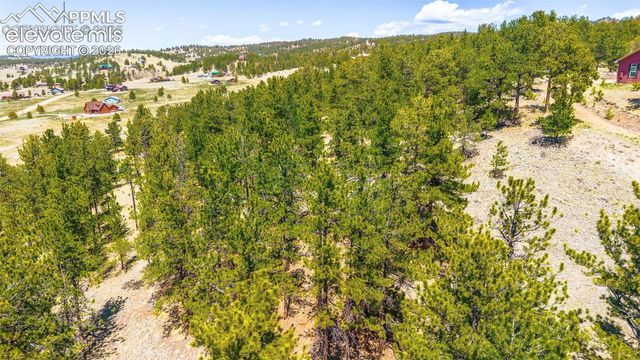 56 Dallas Park Circle, Florissant, CO 80816