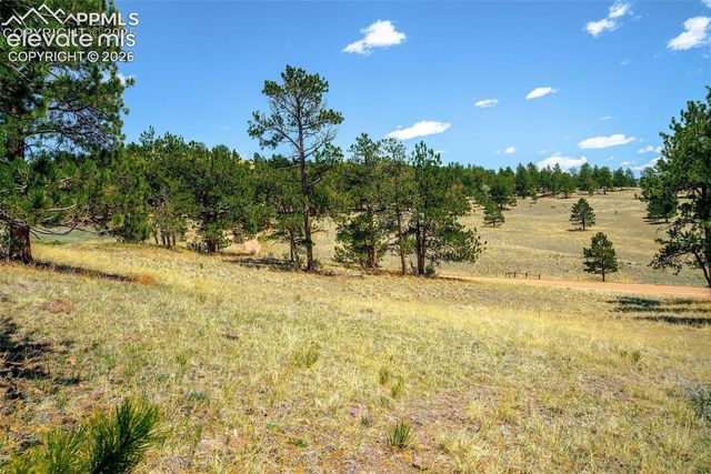 56 Dallas Park Circle, Florissant, CO 80816
