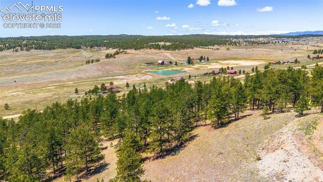 56 Dallas Park Circle, Florissant, CO 80816