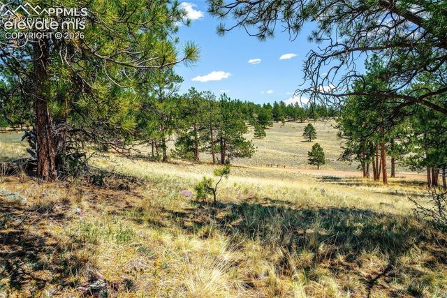 56 Dallas Park Circle, Florissant, CO 80816