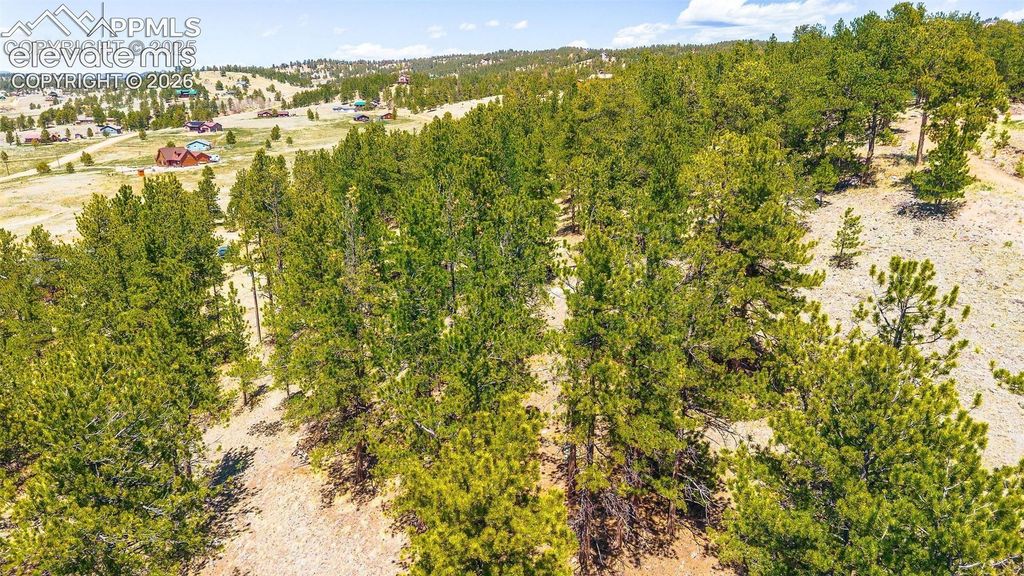 56 Dallas Park Circle, Florissant, CO 80816 — photo 4