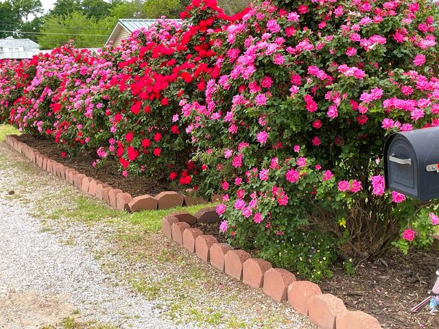 409 N HAMMOND STREET, Henrietta, TX 76365