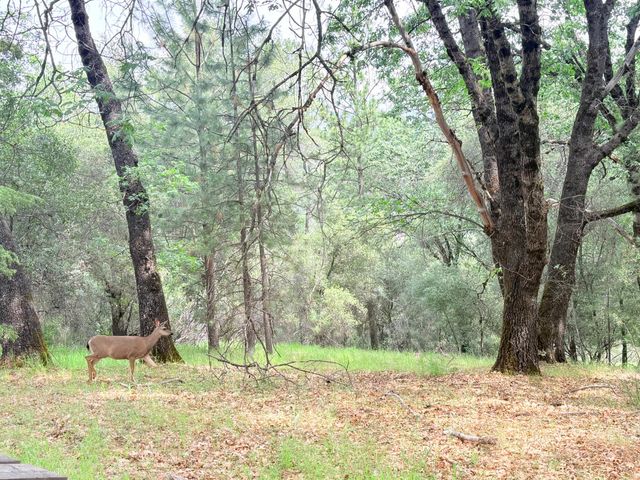 12063 Woodacre Rd, Grass Valley, CA 95949