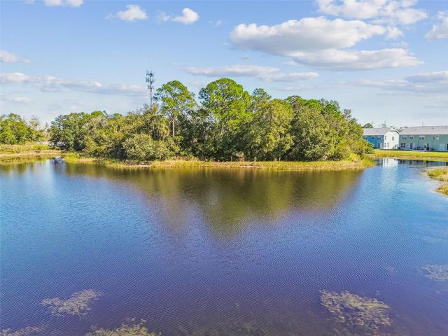 11651 DECLARATION DRIVE, Tampa, FL 33635