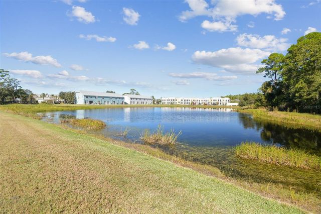 11651 DECLARATION DRIVE, Tampa, FL 33635