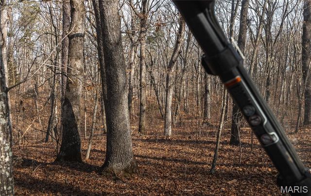 1 Bust Subdivision Rd, Potosi, MO 63664