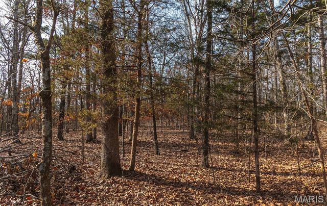 1 Bust Subdivision Rd, Potosi, MO 63664