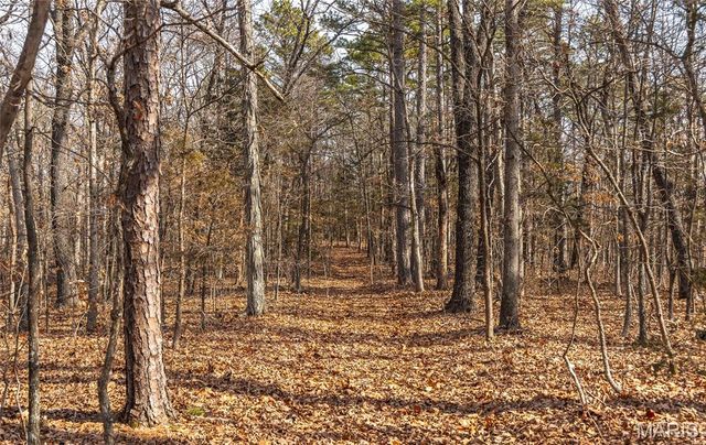 1 Bust Subdivision Rd, Potosi, MO 63664