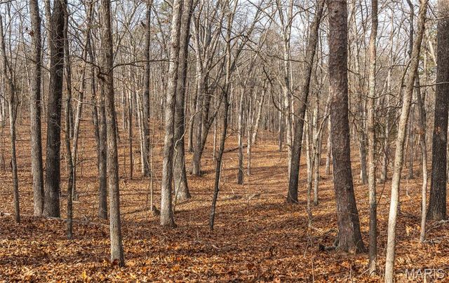 1 Bust Subdivision Rd, Potosi, MO 63664