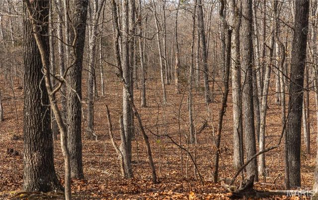 1 Bust Subdivision Rd, Potosi, MO 63664