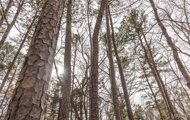 1 Bust Subdivision Rd, Potosi, MO 63664