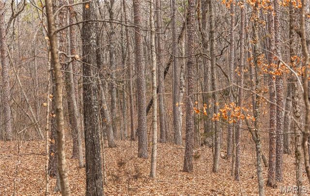 1 Bust Subdivision Rd, Potosi, MO 63664