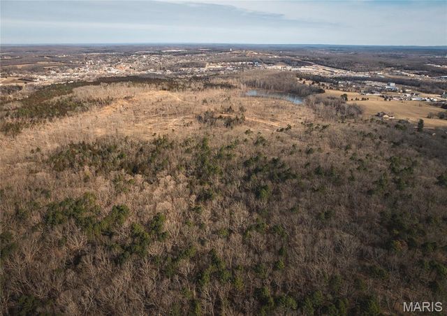 1 Bust Subdivision Rd, Potosi, MO 63664