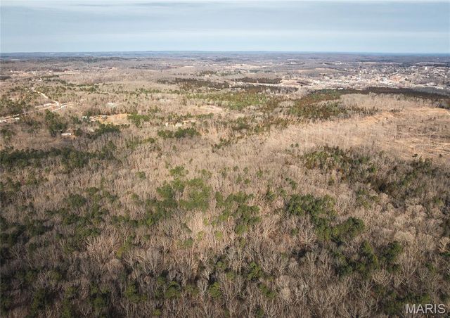 1 Bust Subdivision Rd, Potosi, MO 63664