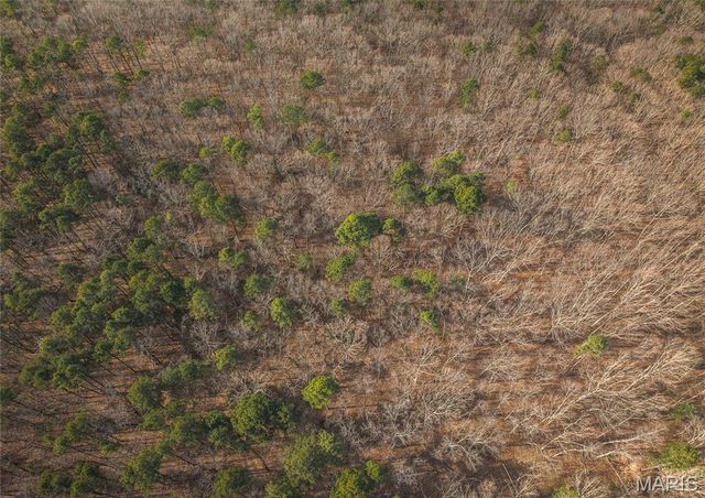 1 Bust Subdivision Rd, Potosi, MO 63664