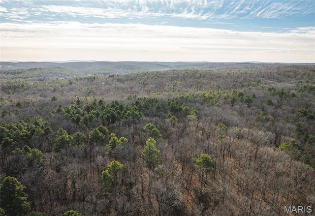 1 Bust Subdivision Rd, Potosi, MO 63664