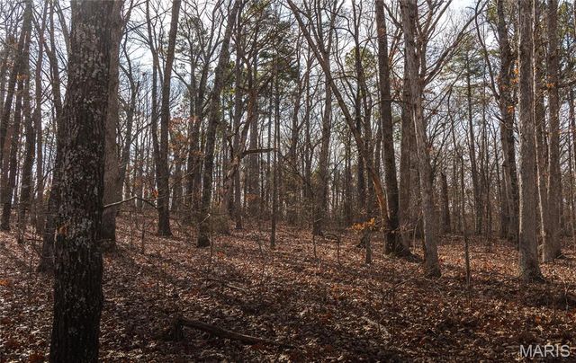 1 Bust Subdivision Rd, Potosi, MO 63664