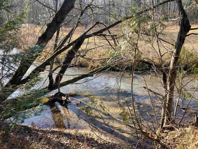 841 Grass Lake Road, Gladwin, MI 48624