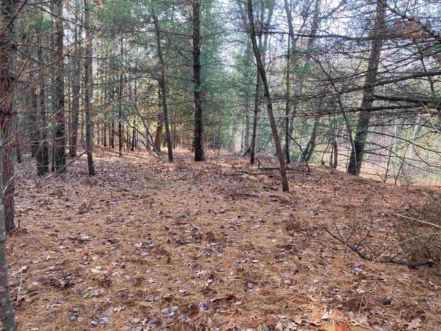 841 Grass Lake Road, Gladwin, MI 48624