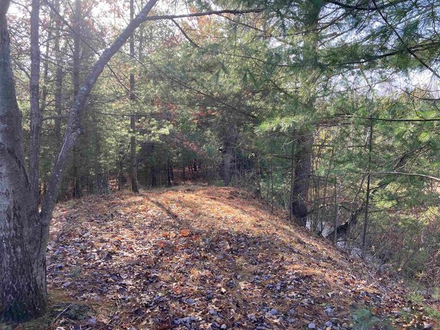 841 Grass Lake Road, Gladwin, MI 48624