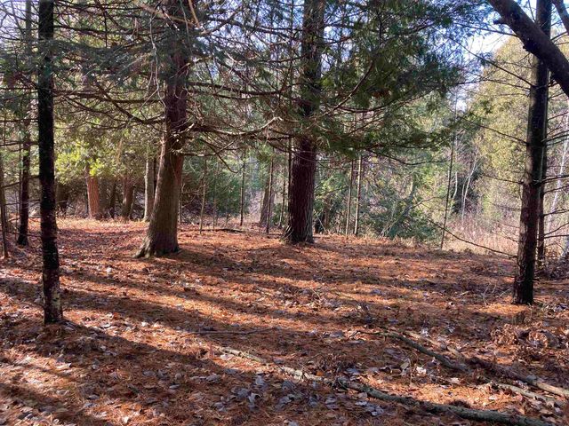 841 Grass Lake Road, Gladwin, MI 48624