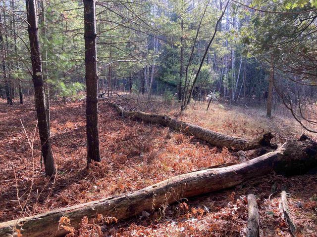 841 Grass Lake Road, Gladwin, MI 48624