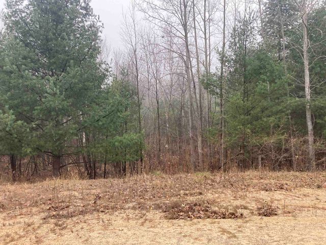 841 Grass Lake Road, Gladwin, MI 48624