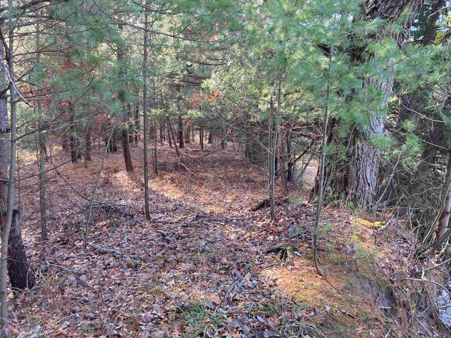 841 Grass Lake Road, Gladwin, MI 48624