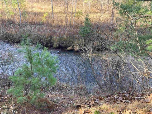 841 Grass Lake Road, Gladwin, MI 48624