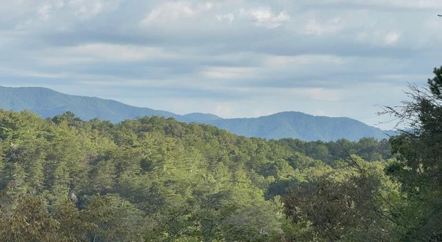 63 Granny Smith Lane, Ellijay, GA 30536