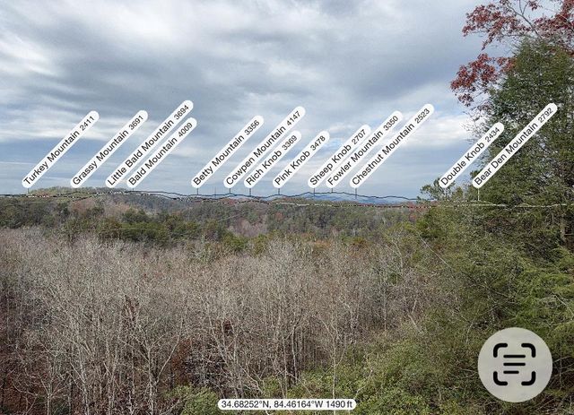63 Granny Smith Lane, Ellijay, GA 30536