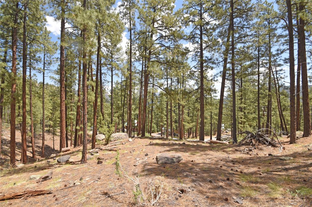 Image 1 of property listing at Lot 6A Cool Pines, Jemez Springs, NM 87025