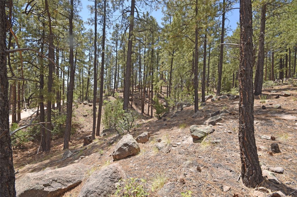 Image 11 of property listing at Lot 6A Cool Pines, Jemez Springs, NM 87025