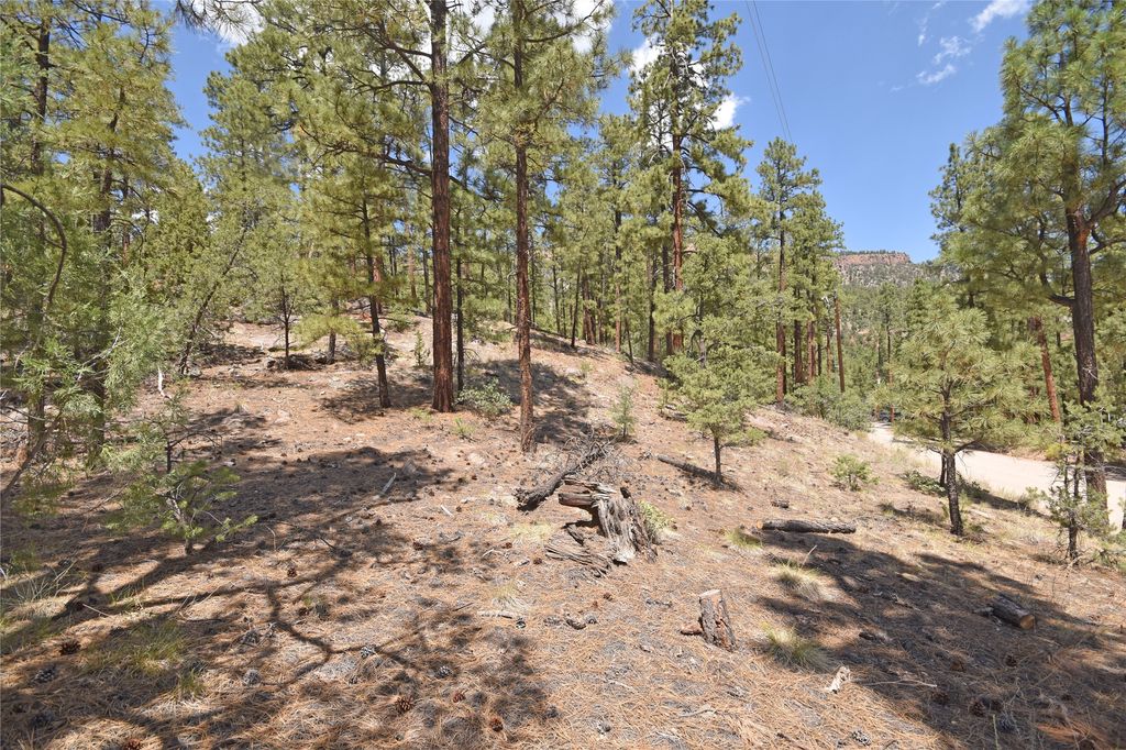 Image 13 of property listing at Lot 6A Cool Pines, Jemez Springs, NM 87025