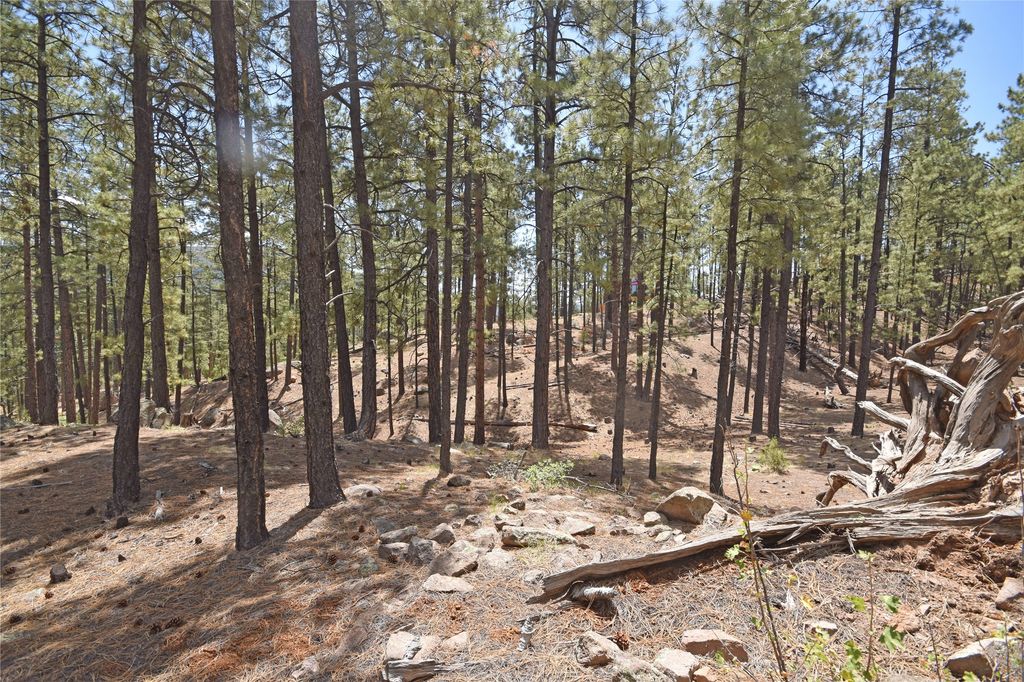 Image 16 of property listing at Lot 6A Cool Pines, Jemez Springs, NM 87025