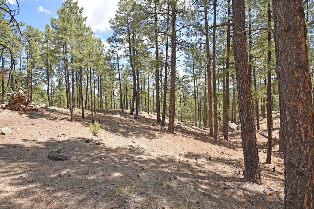 Image 18 of property listing at Lot 6A Cool Pines, Jemez Springs, NM 87025