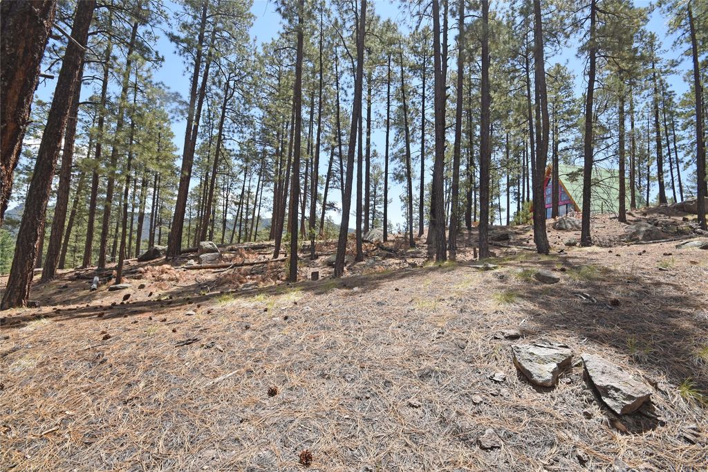 Image 19 of property listing at Lot 6A Cool Pines, Jemez Springs, NM 87025