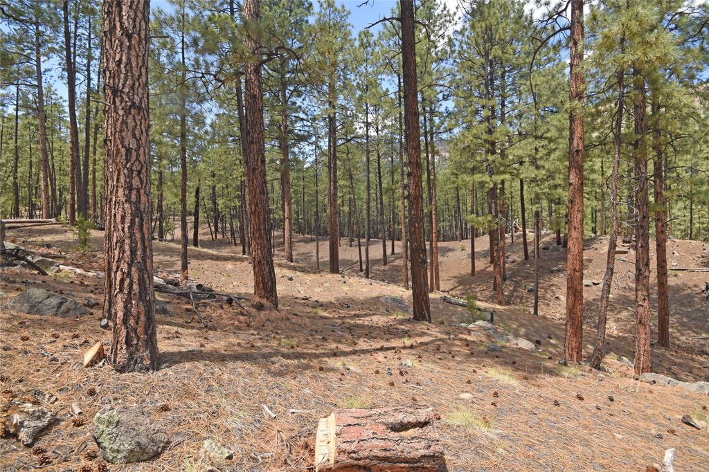 Image 20 of property listing at Lot 6A Cool Pines, Jemez Springs, NM 87025