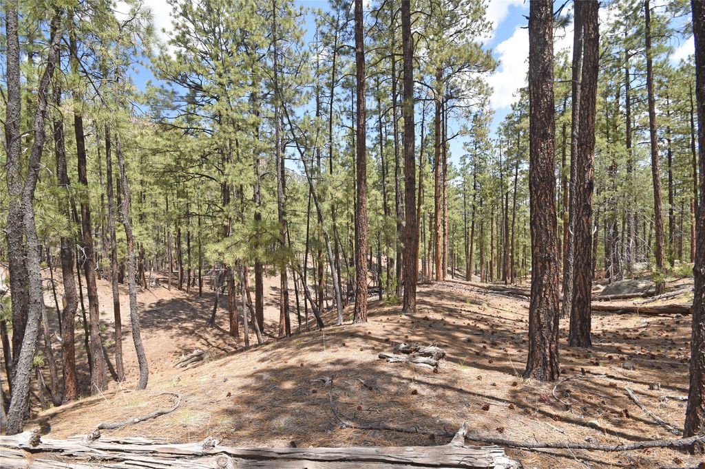 Image 21 of property listing at Lot 6A Cool Pines, Jemez Springs, NM 87025