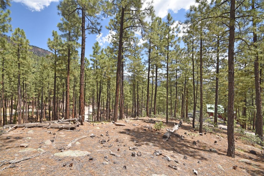 Image 3 of property listing at Lot 6A Cool Pines, Jemez Springs, NM 87025
