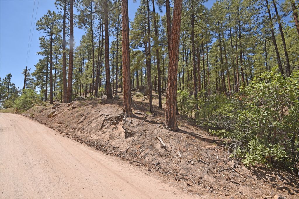 Image 5 of property listing at Lot 6A Cool Pines, Jemez Springs, NM 87025