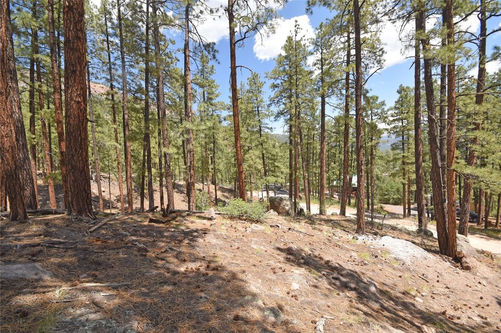 Image 7 of property listing at Lot 6A Cool Pines, Jemez Springs, NM 87025