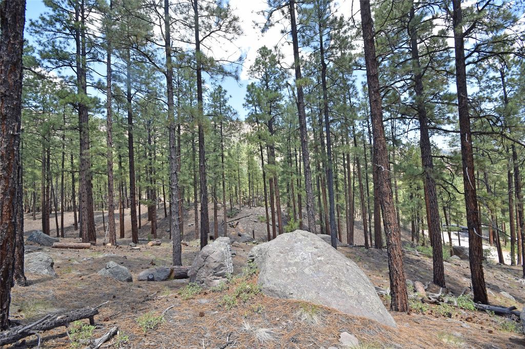 Image 8 of property listing at Lot 6A Cool Pines, Jemez Springs, NM 87025