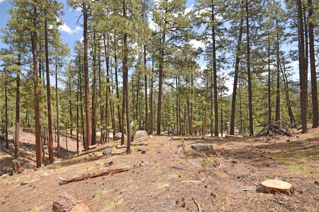 Image 9 of property listing at Lot 6A Cool Pines, Jemez Springs, NM 87025