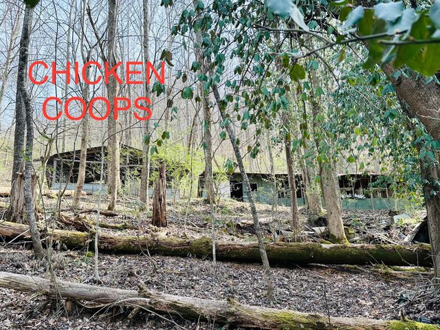 212 Town Branch Road, Manchester, KY 40962